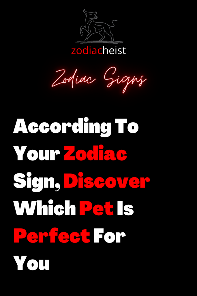 5 toxic pairs of zodiac signs that should not be together – Zodiac Heist