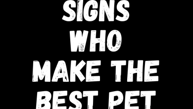 4 Zodiac Signs Who Make The Best Pet Owners