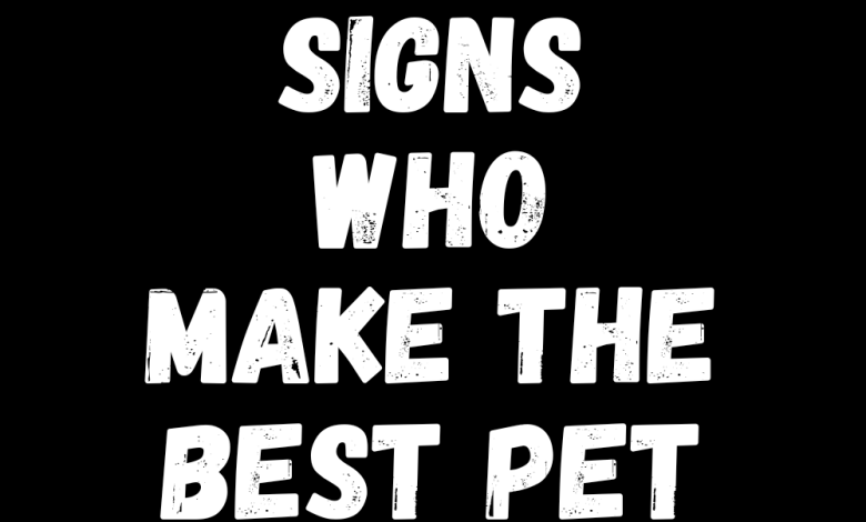 4 Zodiac Signs Who Make The Best Pet Owners