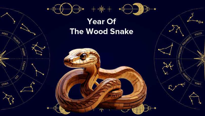 In the Year of the Snake, 5 Chinese zodiac's shed their past selves.