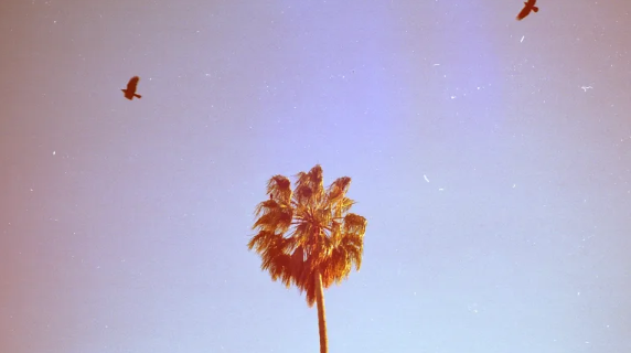 Positive Claims for Every Zodiac Sign During Venus Retrograde